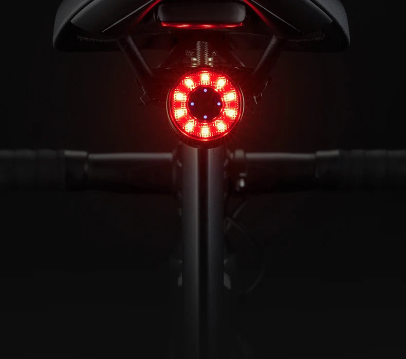 Bicycle Tail Light ROCKBROS Smart Brake Sensing Rear Bike Light
