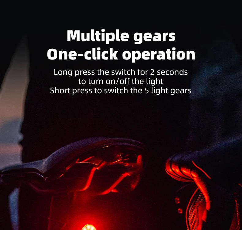 Bicycle Tail Light ROCKBROS Smart Brake Sensing Rear Bike Light