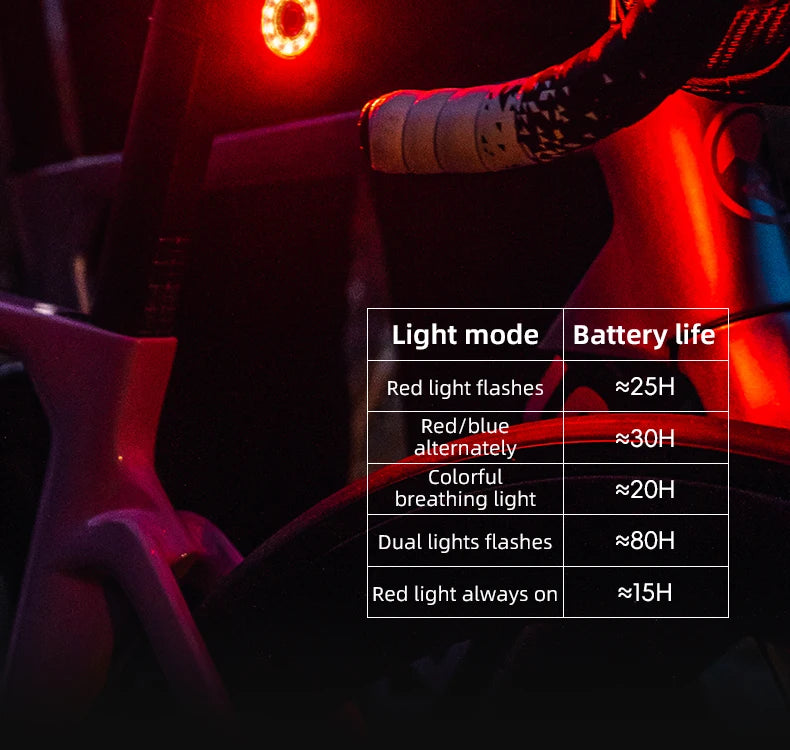 Bicycle Tail Light ROCKBROS Smart Brake Sensing Rear Bike Light