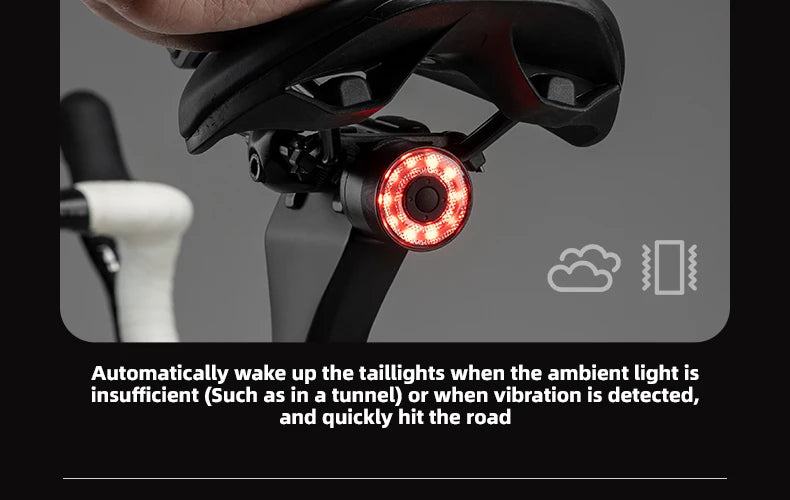 Bicycle Tail Light ROCKBROS Smart Brake Sensing Rear Bike Light