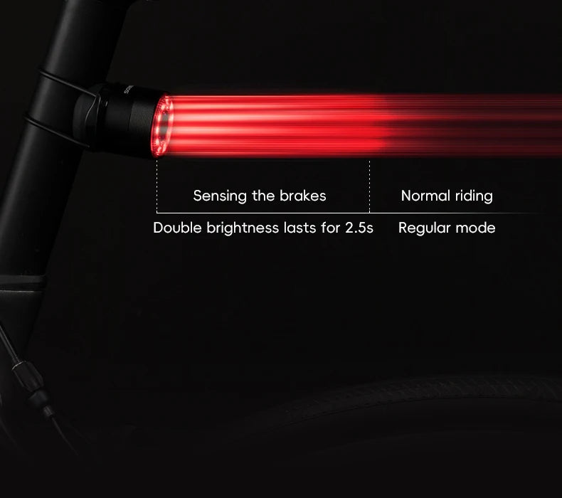 Bicycle Tail Light ROCKBROS Smart Brake Sensing Rear Bike Light