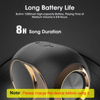 Speaker X6 Wireless , a Powerful Outdoor Subwoofer with High Volume